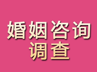 宣恩婚姻咨询调查